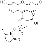 5(6)-Carboxyfluorescein N-succinimidyl ester Structure,117548-22-8Structure