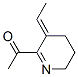 (9ci)-1-(3-亞乙基-3,4,5,6-四氫-2-吡啶)-乙酮結(jié)構(gòu)式_118355-72-9結(jié)構(gòu)式