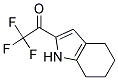 (9ci)-2,2,2-三氟-1-(4,5,6,7-四氫-1H-吲哚-2-基)-乙酮結(jié)構(gòu)式_131172-58-2結(jié)構(gòu)式