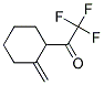 (9ci)-2,2,2-三氟-1-(2-亞甲基環(huán)己基)-乙酮結(jié)構(gòu)式_163882-74-4結(jié)構(gòu)式