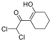 (9ci)-2,2-二氯-1-(2-羥基-1-環(huán)己烯-1-基)-乙酮結(jié)構(gòu)式_169773-54-0結(jié)構(gòu)式