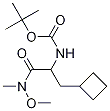 N-[1-(環(huán)丁基甲基)-2-(甲氧基甲基氨基)-2-氧代乙基]-氨基甲酸1,1-二甲基乙酯結(jié)構(gòu)式_394735-18-3結(jié)構(gòu)式