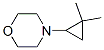 4-(2,2-二甲基環(huán)丙基)-嗎啉結(jié)構(gòu)式_54968-70-6結(jié)構(gòu)式
