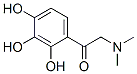 (9ci)-2-(二甲基氨基)-1-(2,3,4-三羥基苯基)-乙酮結(jié)構(gòu)式_743366-16-7結(jié)構(gòu)式