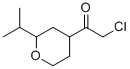 (9ci)-2-氯-1-[四氫-2-(1-甲基乙基)-2H-吡喃-4-基]-乙酮結(jié)構(gòu)式_77554-96-2結(jié)構(gòu)式