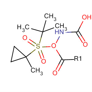 N-[(1-甲基環(huán)丙基)磺?；鵠氨基甲酸1,1-二甲基乙酯結構式_849022-29-3結構式