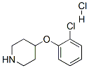 4-(2-Chlorophenoxy)piperidine hydrochloride Structure,849107-20-6Structure