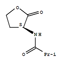 2-甲基-N-[(3S)-四氫-2-氧代-3-呋喃]-丙酰胺結(jié)構(gòu)式_221292-05-3結(jié)構(gòu)式