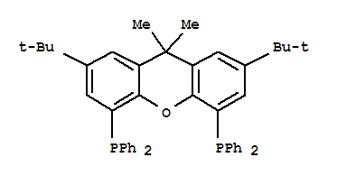 (R,r)-2,7-二-叔丁基-9,9-二甲基-4,5-雙(甲基苯膦)氧雜蒽結(jié)構(gòu)式_221462-97-1結(jié)構(gòu)式