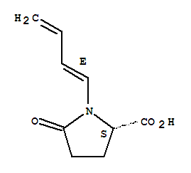 1-[(1E)-1,3-丁二烯-1-基]-5-氧代-L-脯氨酸結(jié)構(gòu)式_391937-24-9結(jié)構(gòu)式