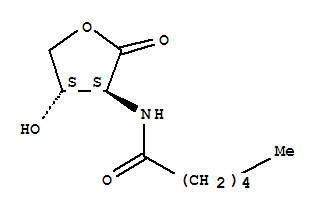 (9ci)-n-[(3s,4s)-四氫-4-羥基-2-氧代-3-呋喃]-己酰胺結(jié)構(gòu)式_428510-09-2結(jié)構(gòu)式