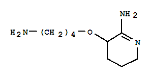 (9ci)-3-(4-氨基丁氧基)-3,4,5,6-四氫-2-吡啶胺結(jié)構(gòu)式_779300-90-2結(jié)構(gòu)式