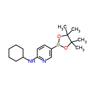 N-環(huán)己基-5-(4,4,5,5-四甲基-1,3,2-二氧硼烷)-2-氨基吡啶結(jié)構(gòu)式_1073354-34-3結(jié)構(gòu)式